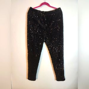 Forever 21 sequin pants 1x. Matching jacket in my closet!